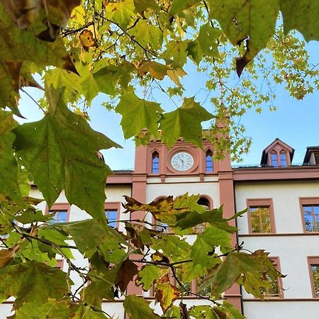 Odelya - Stadthotel Im Park Basel Exterior photo